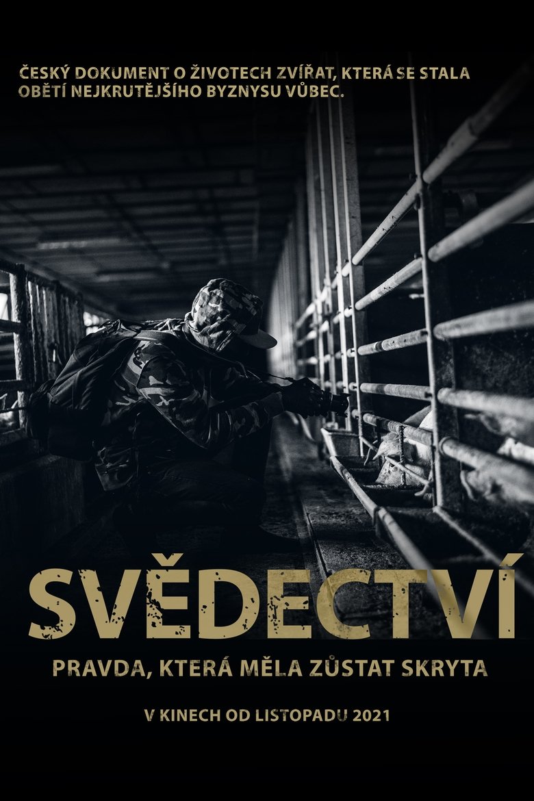 Svědectví: Pravda, která měla zůstat skryta Poster of Svědectví: Pravda, která měla zůstat skryta