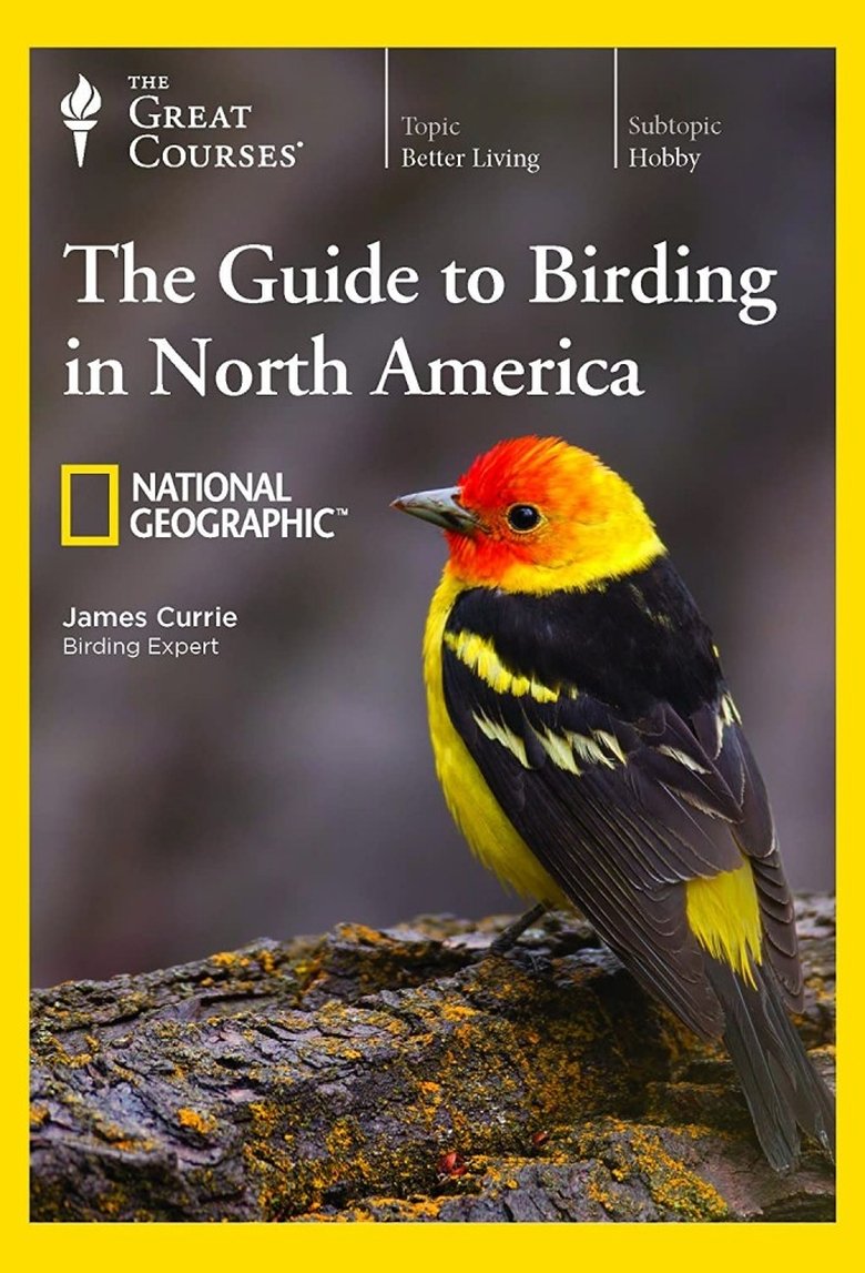 Episodes in The National Geographic Guide To Birding In North America - Season 1 - Season 1 Poster of Episodes in The National Geographic Guide To Birding In North America - Season 1 - Season 1