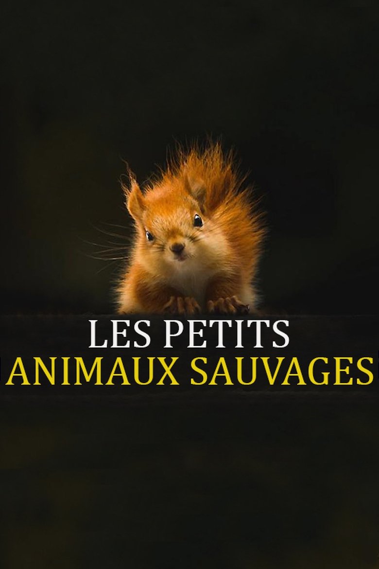 Episodes in Les Petits Animaux Sauvages - Season 1 - Season 1 Poster of Episodes in Les Petits Animaux Sauvages - Season 1 - Season 1
