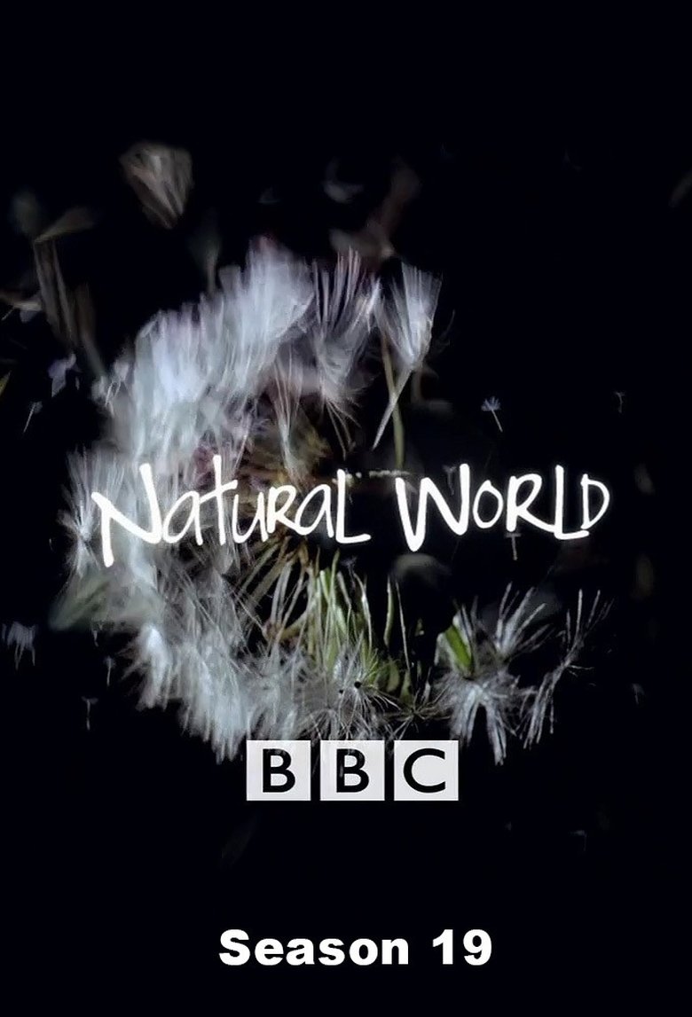 Cast and Crew in Natural World - Transylvania: Living with Predators (Season 19 - Episode 16) - Transylvania: Living with Predators Poster of Cast and Crew in Natural World - Transylvania: Living with Predators (Season 19 - Episode 16) - Transylvania: Living with Predators