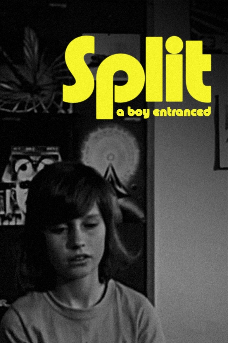 Split Poster of Split
