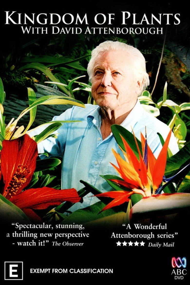 Episodes in Kingdom Of Plants - Season 1 - Season 1 Poster of Episodes in Kingdom Of Plants - Season 1 - Season 1