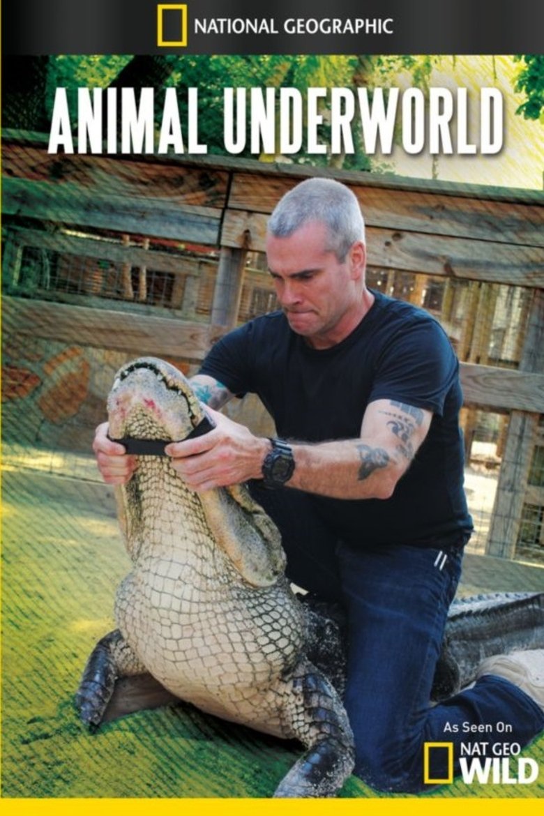Animal Underworld Poster of Animal Underworld