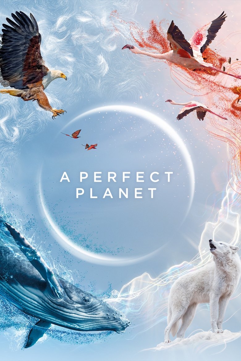 Episodes in A Perfect Planet - Miniseries - Miniseries Poster of Episodes in A Perfect Planet - Miniseries - Miniseries
