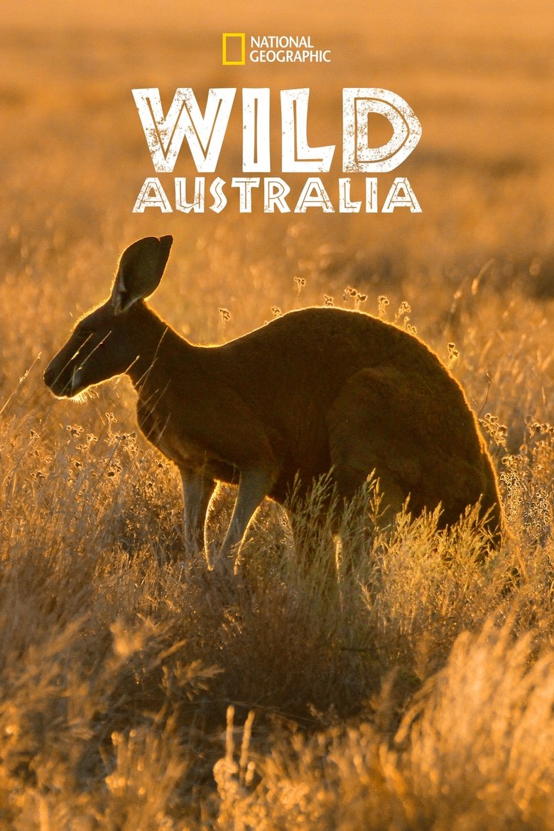 Wild Australia Poster of Wild Australia