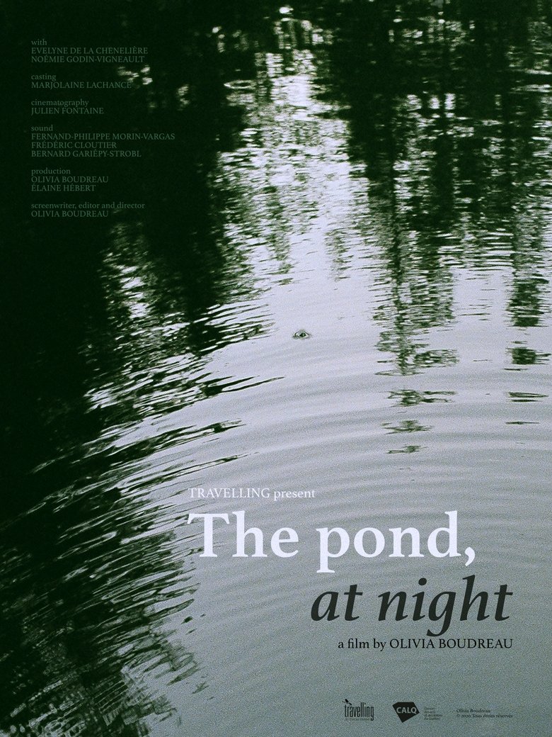 The Pond, at Night Poster of The Pond, at Night