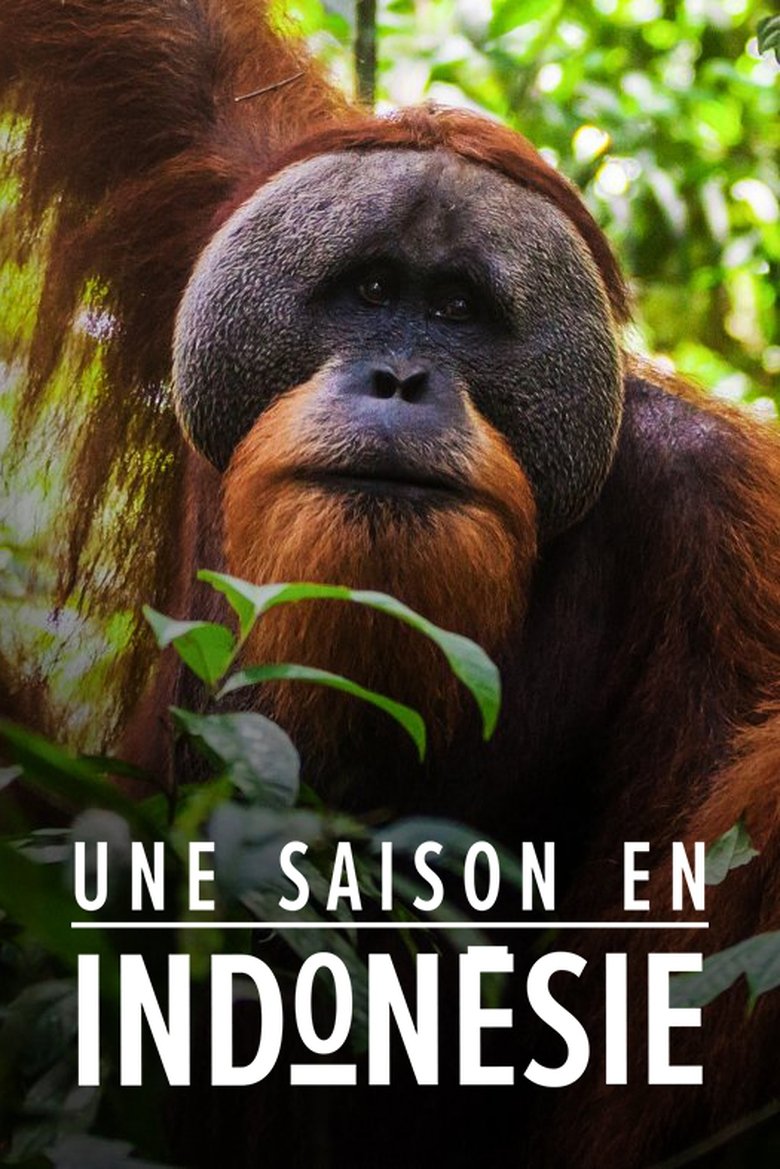 Episodes in Une Saison En Indonésie - Season 1 - Season 1 Poster of Episodes in Une Saison En Indonésie - Season 1 - Season 1