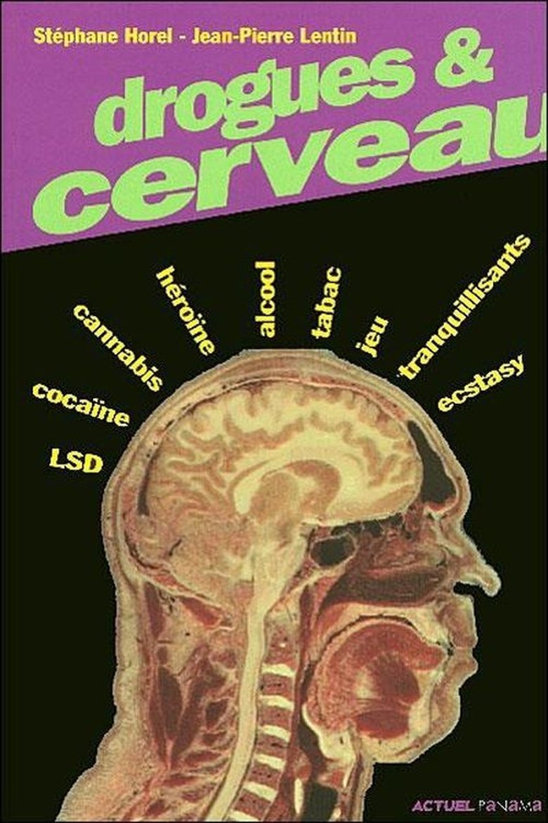 Drugs and Brain Poster of Drugs and Brain