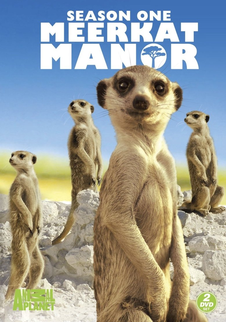 Episodes in Meerkat Manor - Season 1 - Season 1 Poster of Episodes in Meerkat Manor - Season 1 - Season 1
