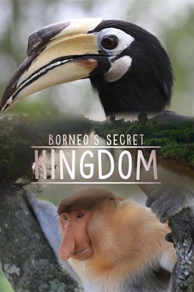 Episodes in Borneo's Secret Kingdom - Season 1 - Season 1 Poster of Episodes in Borneo's Secret Kingdom - Season 1 - Season 1