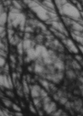In a winter landscape Poster of In a winter landscape