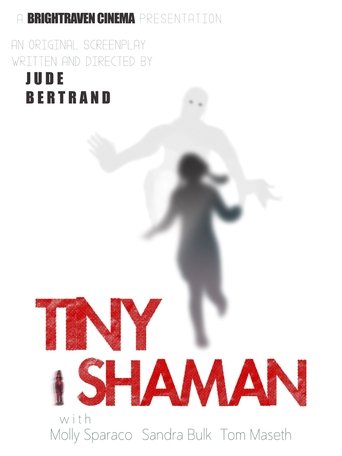 Poster of Tiny Shaman