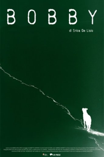 Poster of Bobby