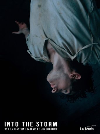 Poster of Into the Storm