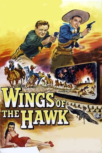 Poster of Wings of the Hawk