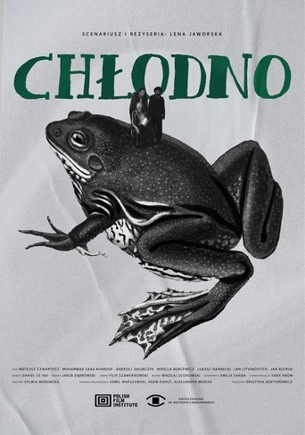 Poster of Chłodno
