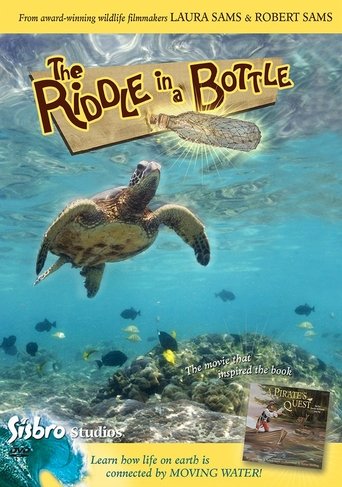 Poster of The Riddle in a Bottle