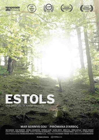 Poster of Estols