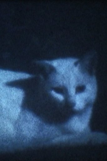Poster of DARK BLACK SHADOW PEOPLE