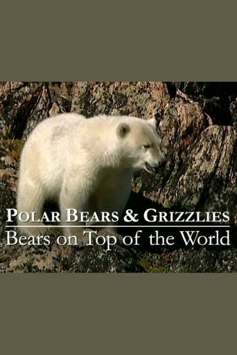 Poster of Polar Bears & Grizzlies: Bears on Top of the World