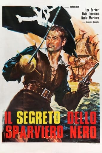 Poster of The Secret of the Black Falcon