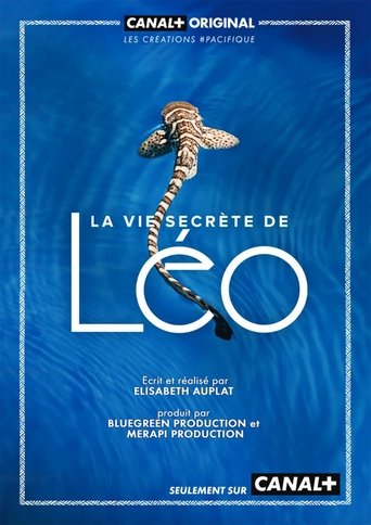 Poster of La Vie secrète de Léo