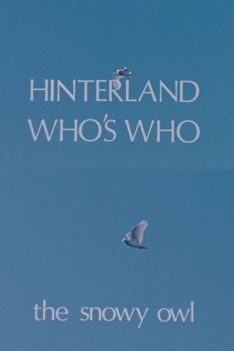 Poster of Hinterland Who's Who: The Snowy Owl