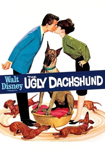 Poster of The Ugly Dachshund