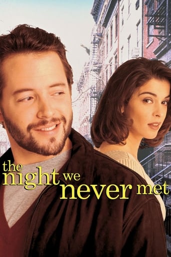 Poster of The Night We Never Met