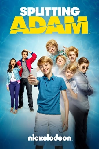 Poster of Splitting Adam