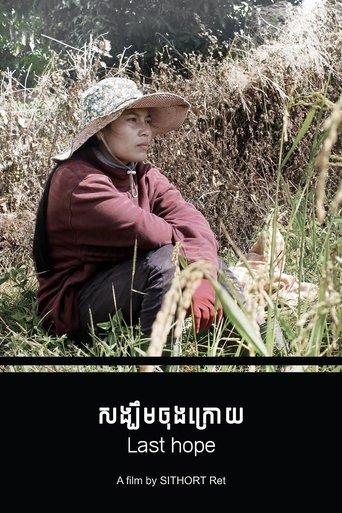Poster of Last Hope