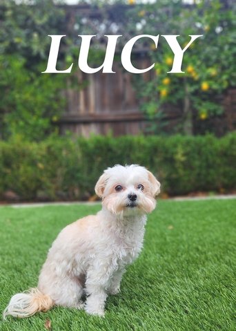 Lucy Poster of Lucy