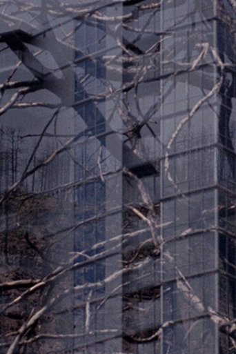 Poster of The City is a Heat Island & our Forests are on Fire