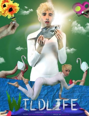 Poster of Wildlife