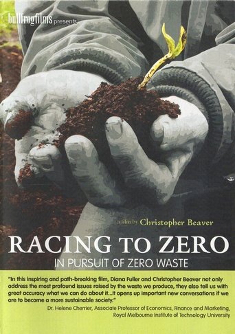Racing To Zero Poster of Racing To Zero