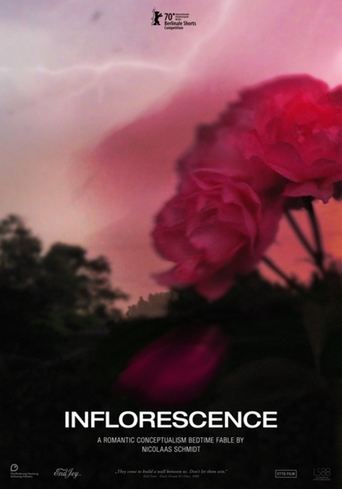 Poster of Inflorescence