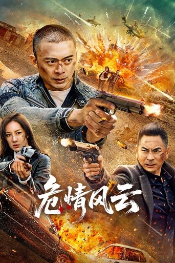 Poster of 危情风云
