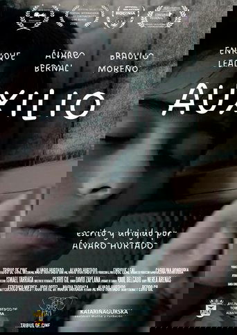 Poster of Auxilio