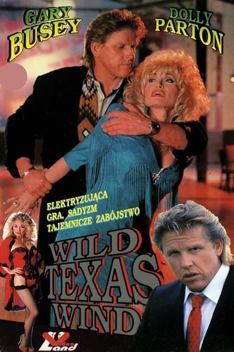 Poster of Wild Texas Wind