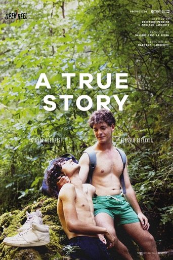 Poster of A True Story