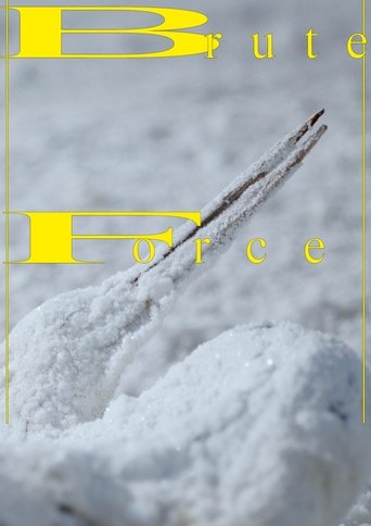 Poster of BRUTE FORCE
