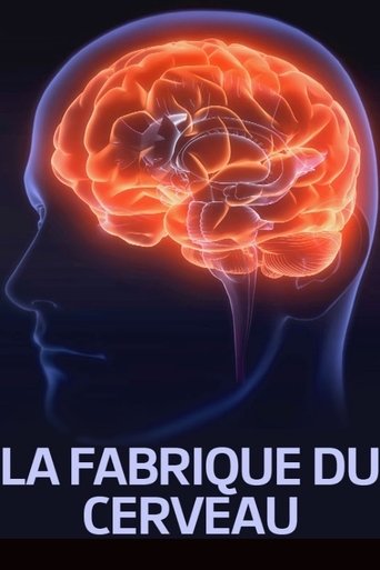 La fabrique du cerveau Poster of La fabrique du cerveau