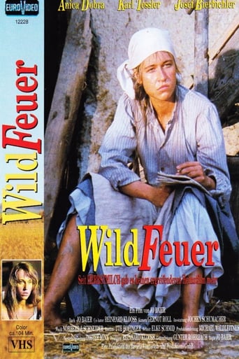 Poster of Wildfeuer