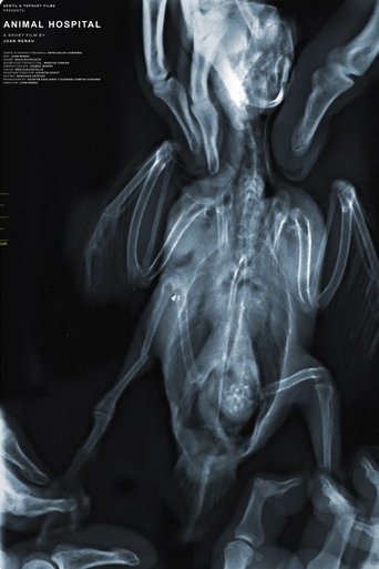 Animal Hospital Poster of Animal Hospital