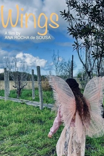 Poster of Wings