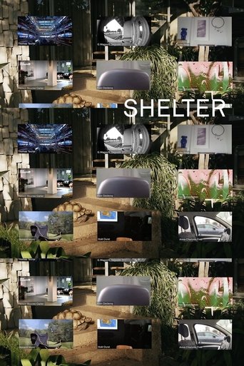 Shelter Poster of Shelter