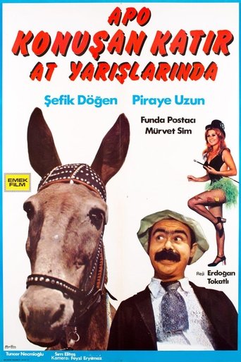 Poster of Apo Konuşan Katır At Yarışlarında