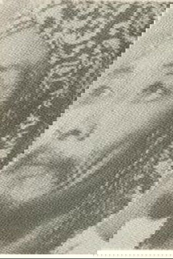 Portrait of Bissu Usman