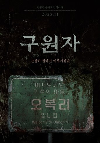 Poster of The Favor