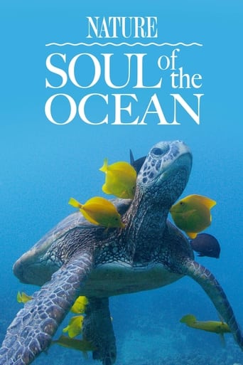 Poster of Soul of the Ocean